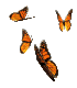4OrangeButterflies.gif (5238 bytes)