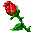 tiny_red_rose[1].GIF (1035 bytes)